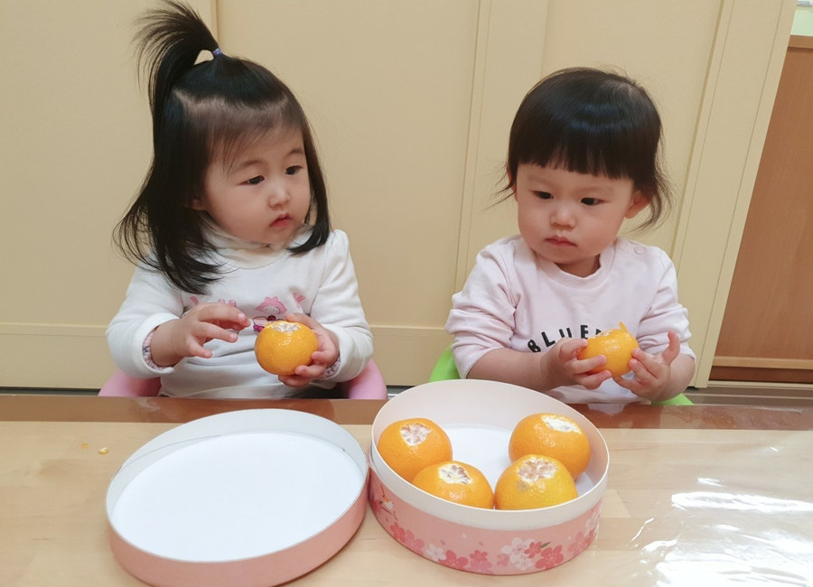오감 창의 놀이